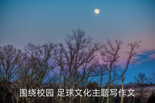 圍繞校園 足球文化主題寫作文