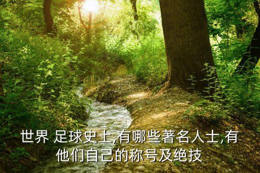 世界 足球史上,有哪些著名人士,有他們自己的稱號及絕技