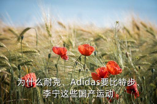 為什么耐克、Adidas要比特步、李寧這些國產(chǎn)運動(dòng)