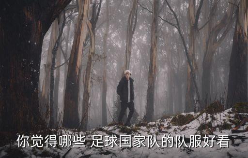 你覺得哪些 足球國家隊(duì)的隊(duì)服好看