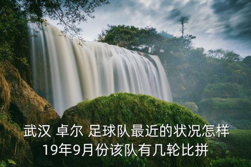  武漢 卓爾 足球隊最近的狀況怎樣19年9月份該隊有幾輪比拼