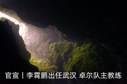 官宣丨李霄鵬出任武漢 卓爾隊主教練