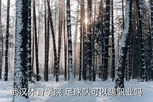 卓爾足球隊(duì)修專業(yè)足球場,武漢卓爾專業(yè)足球場