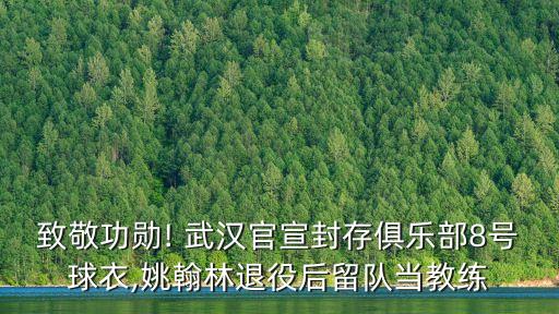 致敬功勛! 武漢官宣封存俱樂(lè )部8號球衣,姚翰林退役后留隊當教練