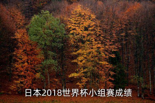  日本2018世界杯小組賽成績
