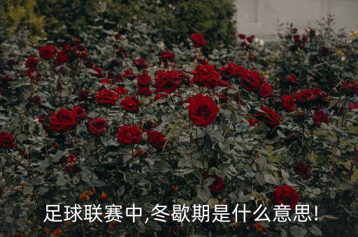  足球聯(lián)賽中,冬歇期是什么意思!