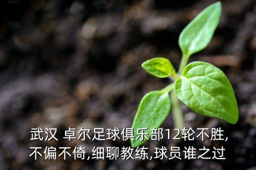 武漢卓爾足球隊(duì)2016年戰(zhàn)況,武漢長(zhǎng)江足球隊(duì)還是卓爾的嗎