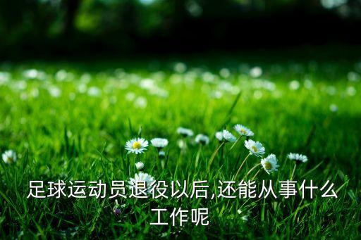 足球球員廢了,[足球]金牌球員