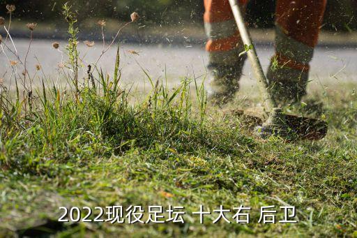 2022現(xiàn)役足壇 十大右 后衛(wèi)
