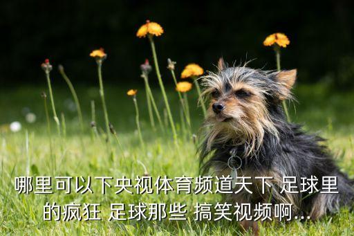 搞笑的足球節(jié)目,搞笑足球視頻合集