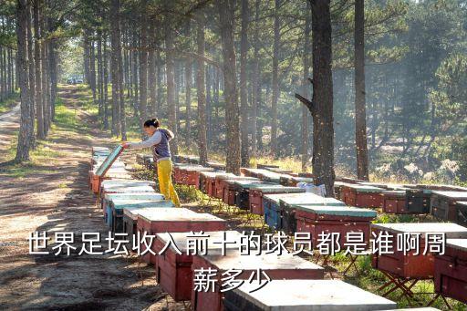 世界足球十大后衛(wèi)