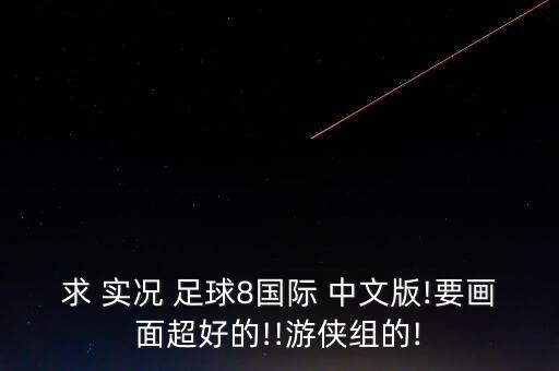 求 實況 足球8國際 中文版!要畫面超好的!!游俠組的!