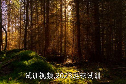 足球試訓視頻,2023足球試訓