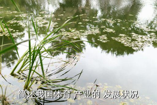 簡(jiǎn)述我國體育 產(chǎn)業(yè)的 發(fā)展狀況