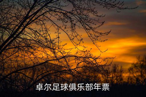 武漢卓爾足球俱樂部年票