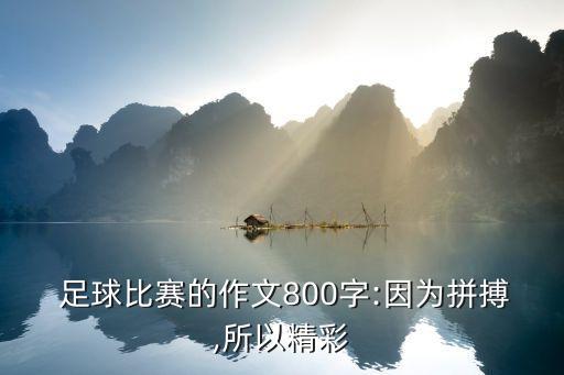  足球比賽的作文800字:因?yàn)槠床?所以精彩