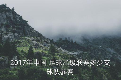 2017年有什么足球比賽,中心小學(xué)足球比賽2017