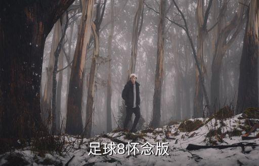實(shí)況足球8懷念版