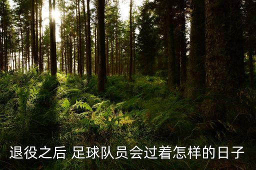 退役之后 足球隊員會過著怎樣的日子