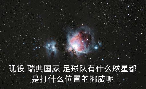 現役 瑞典國家 足球隊有什么球星都是打什么位置的挪威呢