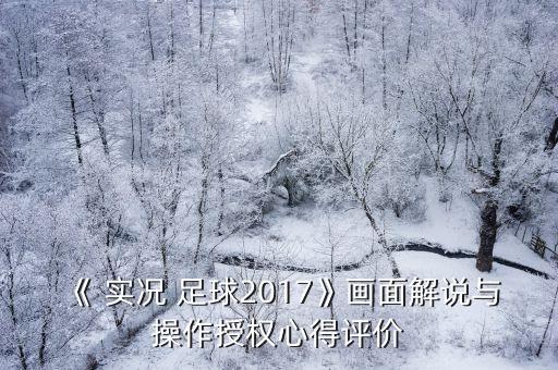 《 實(shí)況 足球2017》畫(huà)面解說(shuō)與操作授權心得評價(jià)