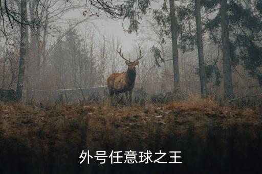 足球外號任意球之王