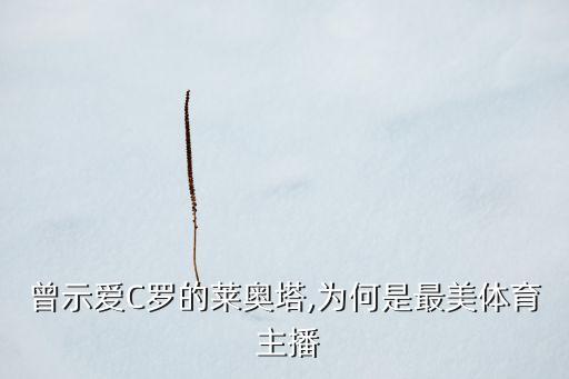 曾示愛C羅的萊奧塔,為何是最美體育 主播
