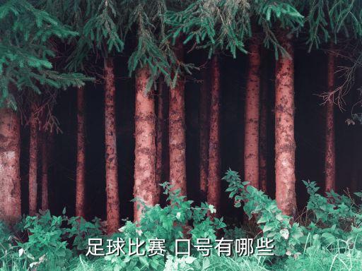 足球比賽 口號有哪些