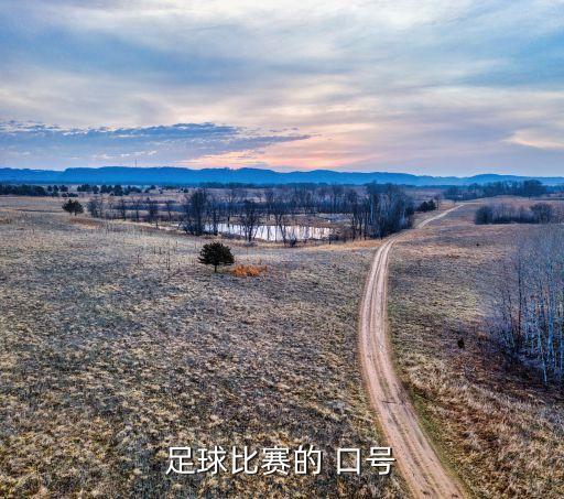 中國足球隊加油口號,為中國足球隊加油的句子