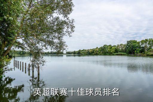 英超聯(lián)賽十佳球員排名