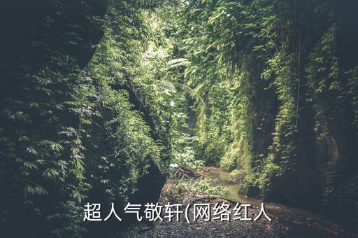 超人氣敬軒(網(wǎng)絡(luò)紅人