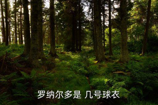 曼聯(lián)足球隊長 幾號