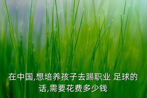 在中國,想培養孩子去踢職業(yè) 足球的話(huà),需要花費多少錢(qián)