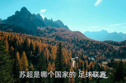 卡爾特人足球