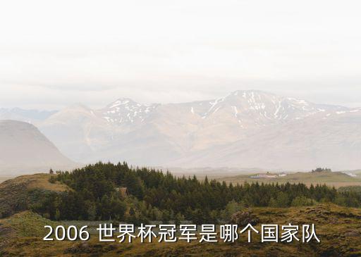  2006 世界杯冠軍是哪個國家隊