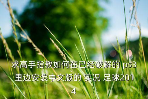 求高手指教如何在已經(jīng)破解的 ps3里邊安裝中文版的 實況 足球2014