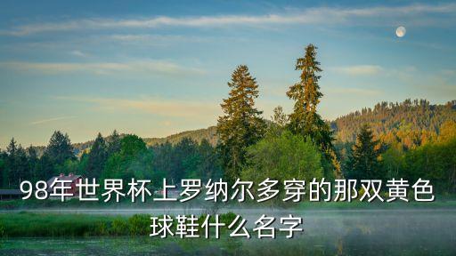 98年世界杯上羅納爾多穿的那雙黃色球鞋什么名字