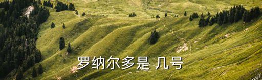羅納爾多是 幾號