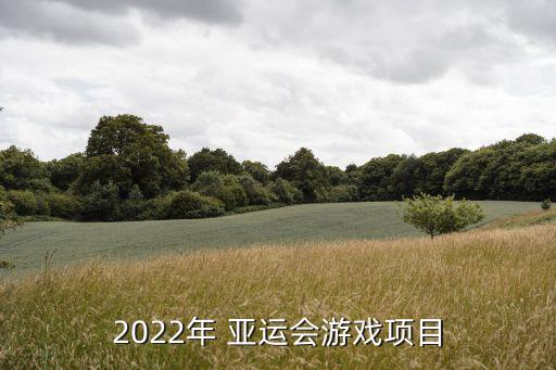 2022年 亞運會游戲項目