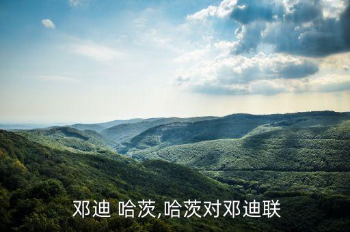  鄧迪 哈茨,哈茨對鄧迪聯(lián)
