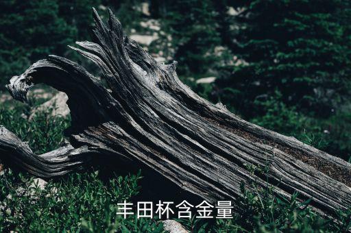 豐田杯含金量