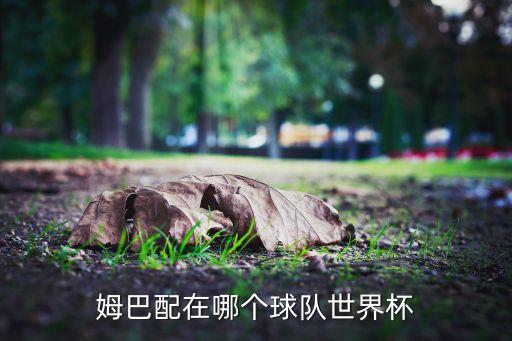 俄羅斯與法國足球