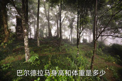 金毛獅王足球巴西,哥倫比亞足球運動員金毛獅王