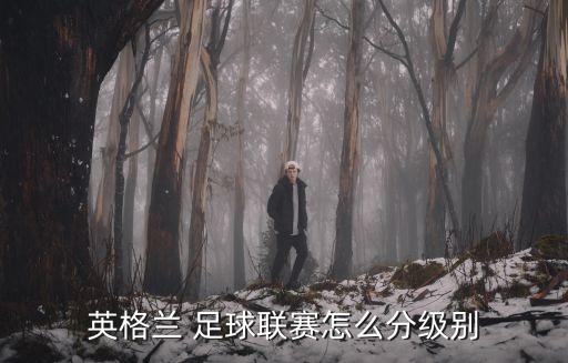 足球一級賽事是哪些