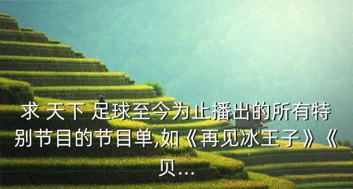 求 天下 足球至今為止播出的所有特別節(jié)目的節(jié)目單,如《再見冰王子》《貝...