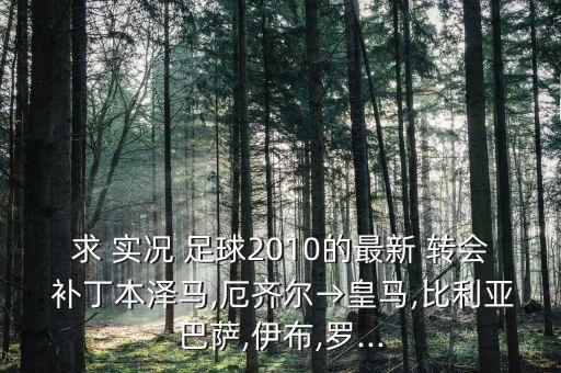 實況足球2010 15-16轉(zhuǎn)會補丁