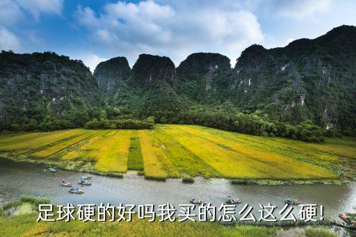 專業(yè)足球硬嗎,足球?qū)I(yè)比較好的大學(xué)