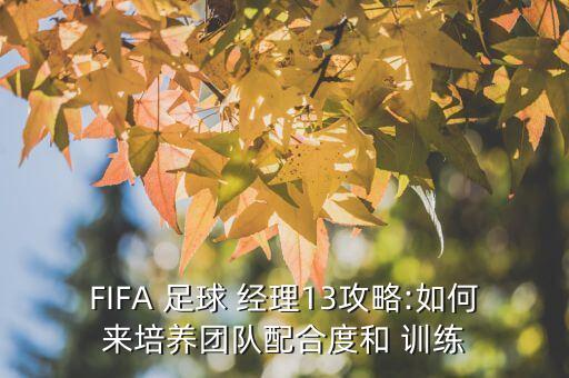 FIFA 足球 經(jīng)理13攻略:如何來培養(yǎng)團(tuán)隊(duì)配合度和 訓(xùn)練