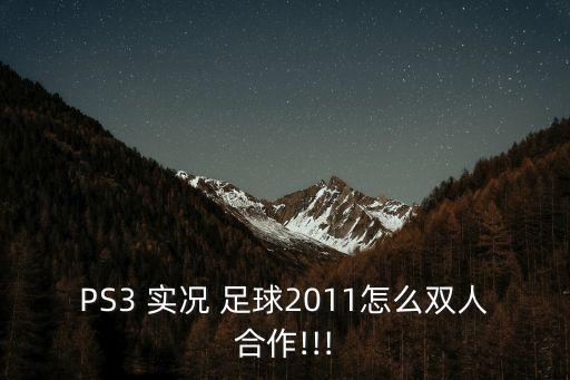 PS3 實況 足球2011怎么雙人合作!!!