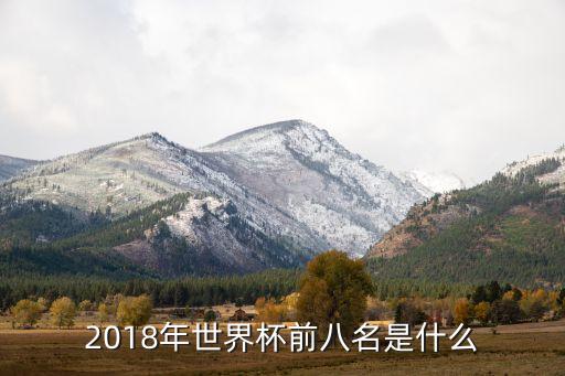 2018年世界杯前八名是什么